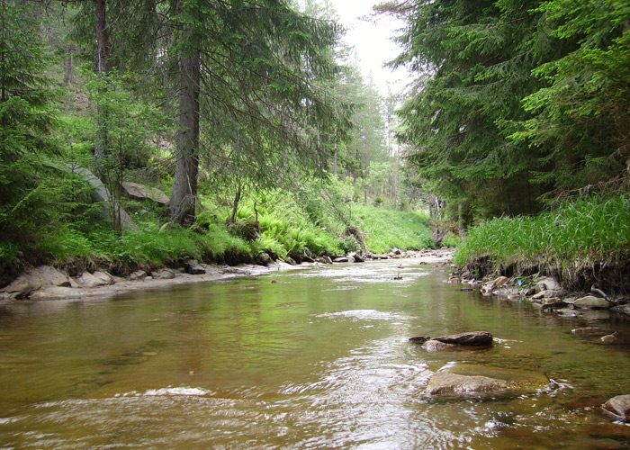 IMGP0522_big-3-e1540369852102