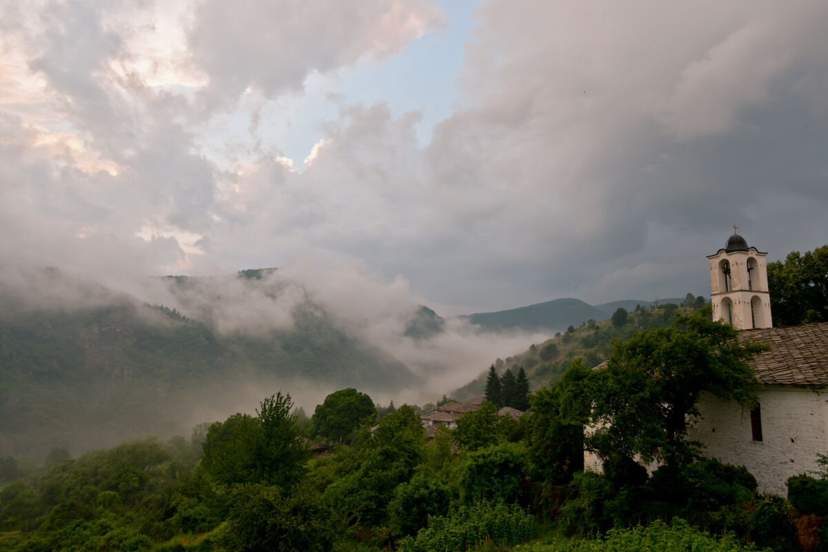 Kovachevitza_sell_19.tif (1)